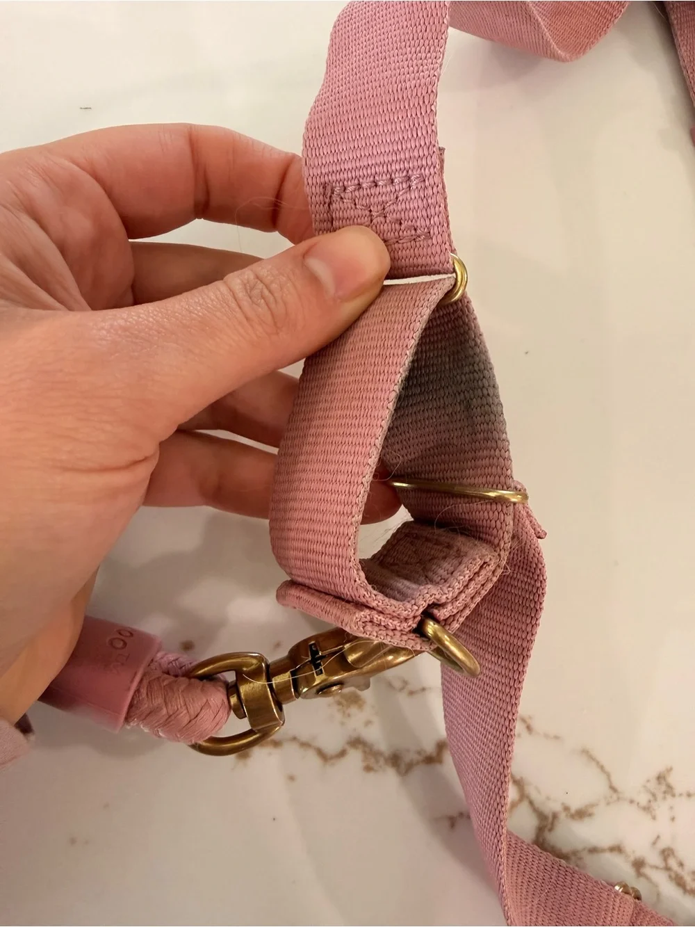 AWOO Roam Harness in Large & Infinity Leash